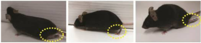 氫氣吸入和氫鹽水注射效果哪個強 氫氣醫(yī)學研究的重點在疾病治療效果確定性